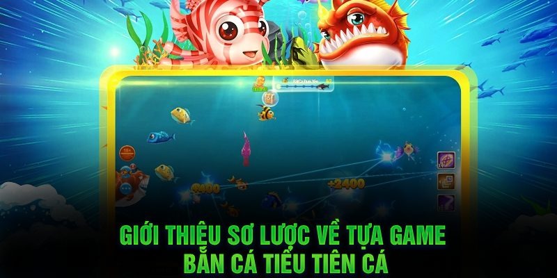 Đôi nét khái quát về Tiểu tiên cá